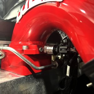 Ford Mustang Brake Rotors (2) - Front - R1 Concepts - Drilled & Slotted Geoperformance - `05-`14